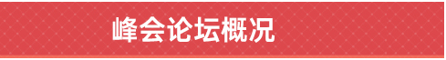峰會(huì)論壇概況